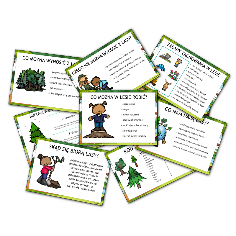 Dzień lasu- informacje