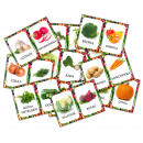 Warzywa- Karty demonstracyjne