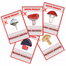 Jesień - Grzyby trujące