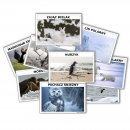 Zima - Mieszkańcy lodowego królestwa