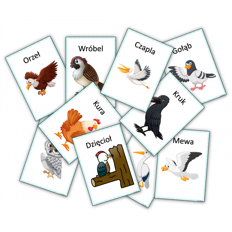 Ptaki- Karty obrazkowe
