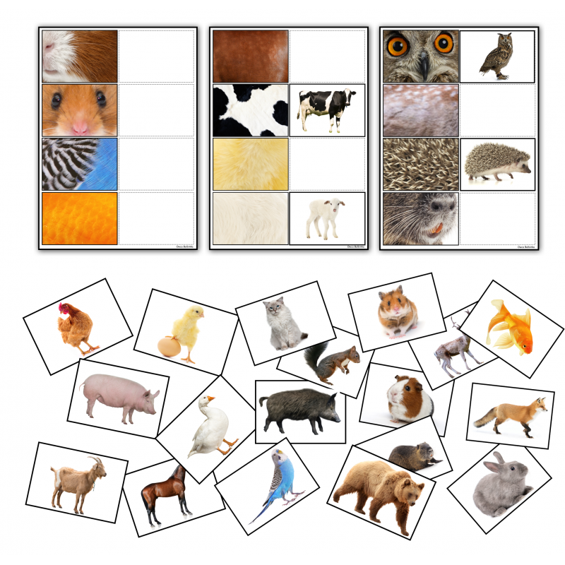 Dopasuj właściwe zwierzęta- Układanka
