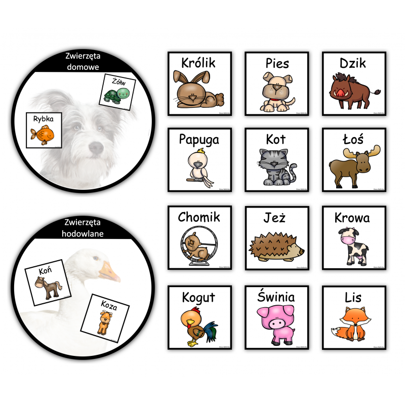 Posegreguj zwierzęta- Układanka