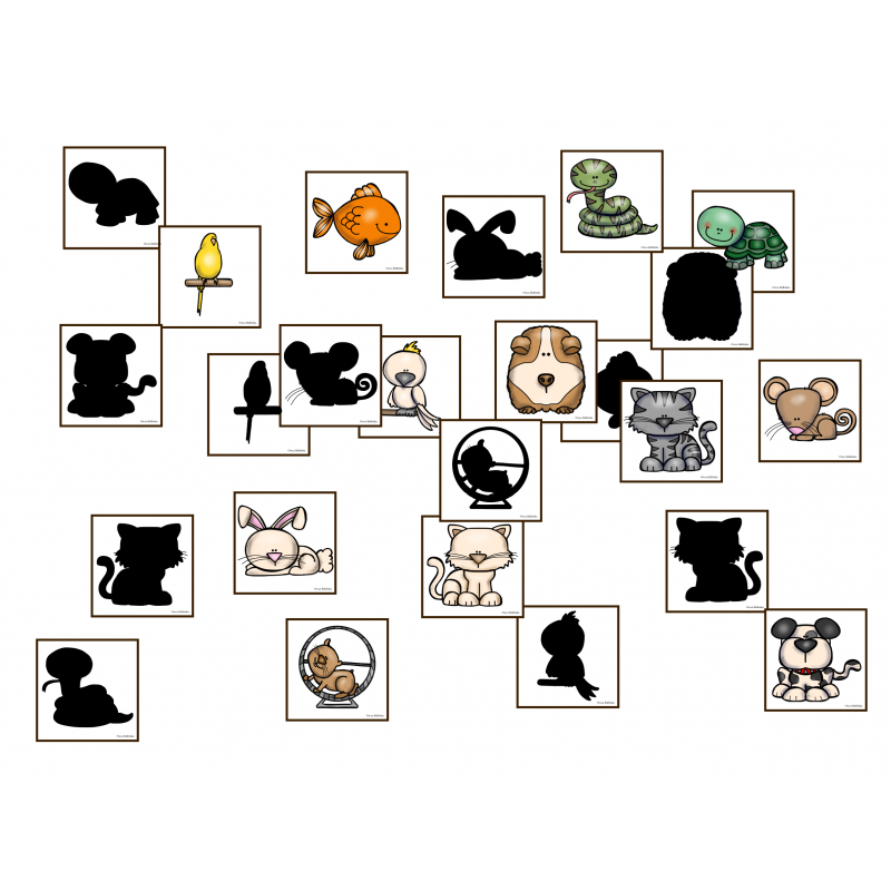 Zwierzęta domowe- Gra w cienie