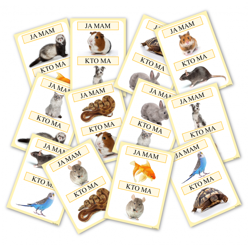 Zwierzęta domowe- Ja mam, kto ma?