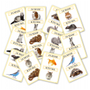 Zwierzęta domowe- Ja mam, kto ma?