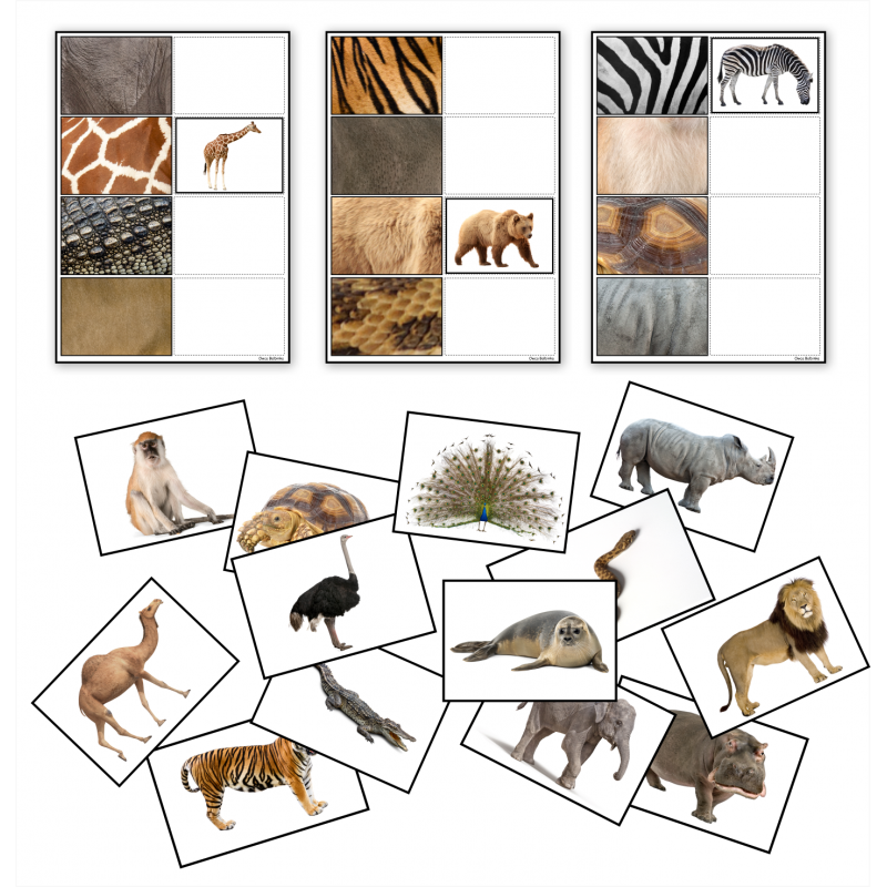 Zwierzęta w ZOO- Układanka