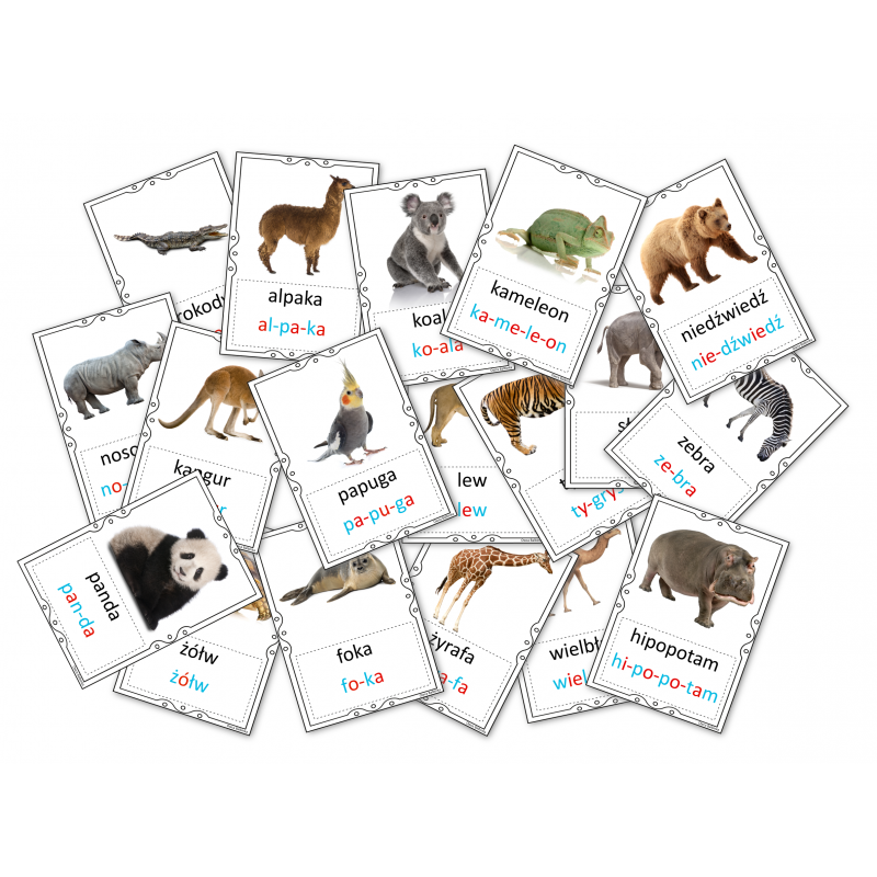 Zwierzęta egzotyczne- Karty demonstracyjne