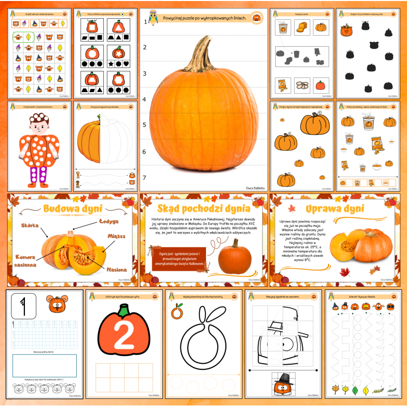 Zestaw DZIEŃ DYNI