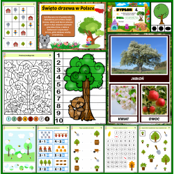 Zestaw DZIEŃ DRZEWA