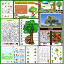 Zestaw DZIEŃ DRZEWA