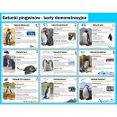 Dzień WIEDZY O PINGWINACH