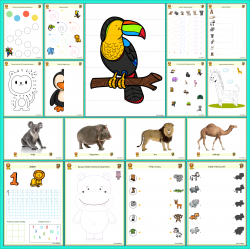 Zestaw ZWIERZĘTA EGZOTYCZNE