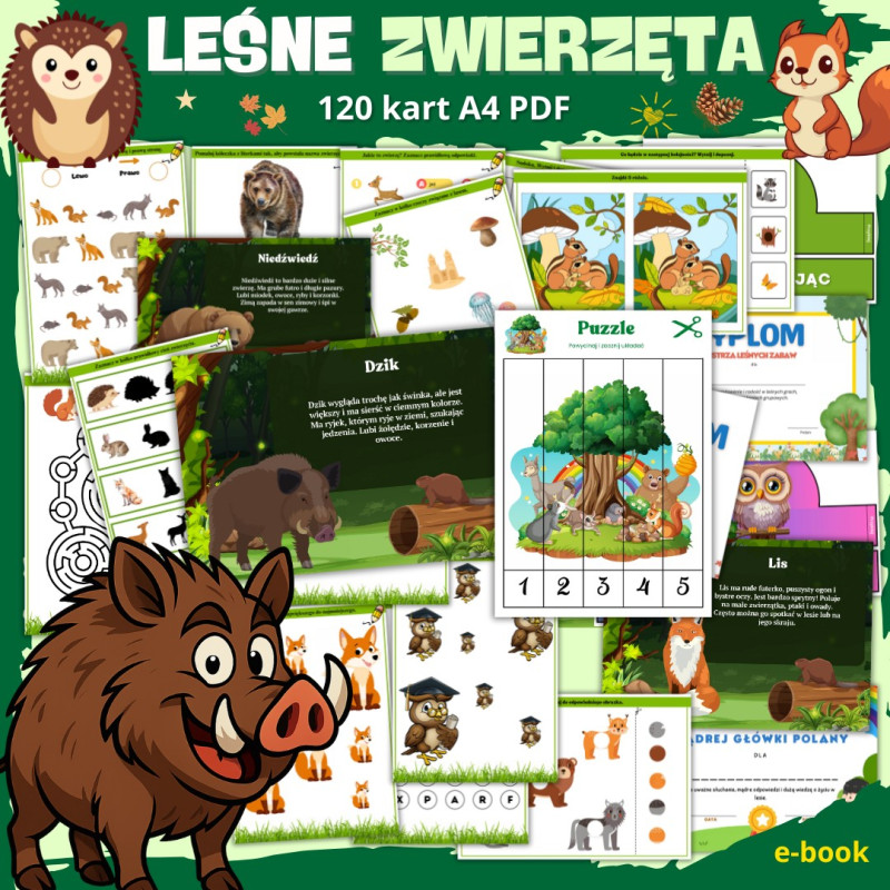 Zestaw LEŚNE ZWIERZĘTA