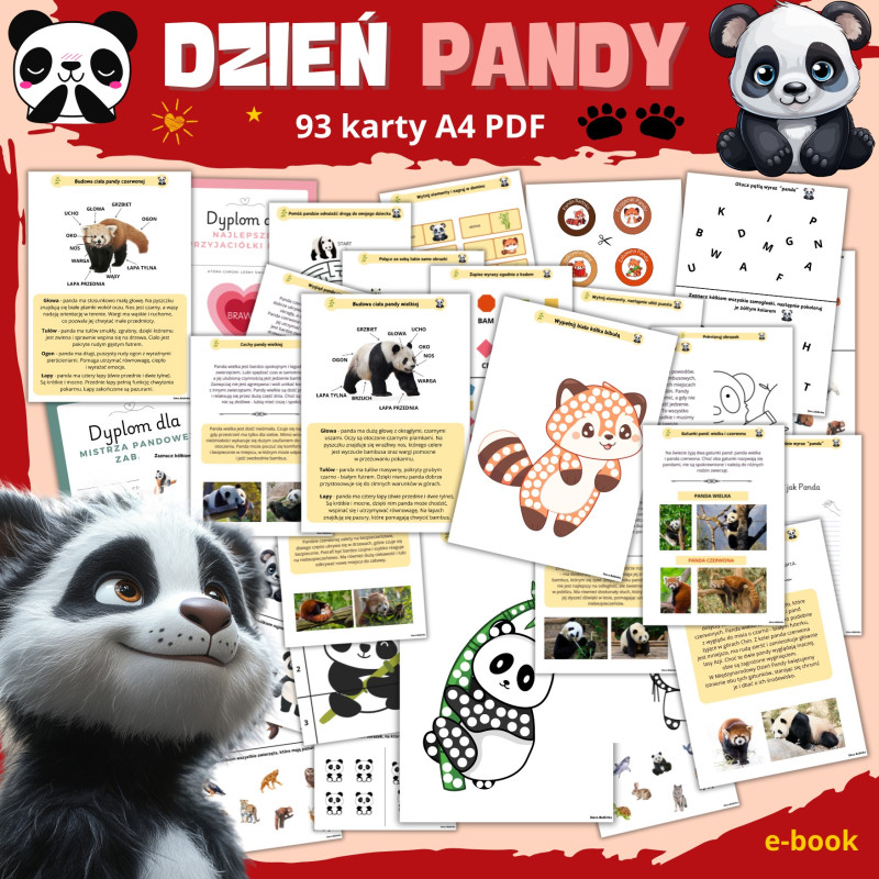 Zestaw DZIEŃ PANDY