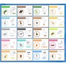 Zestaw GRAFOMOTORYKA