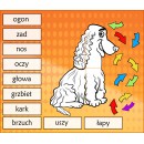 Zestaw ZWIERZĘTA DOMOWE