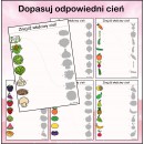 Zestaw OWOCE I WARZYWA
