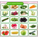 Zestaw OWOCE I WARZYWA