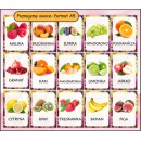 Zestaw OWOCE I WARZYWA