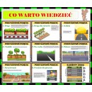Bezpieczeństwo NA DRODZE