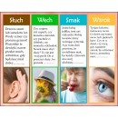 Zestaw CIAŁO, ZMYSŁY