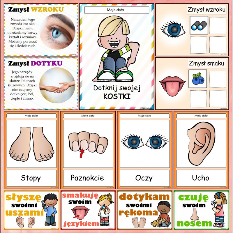 Zestaw CIAŁO, ZMYSŁY