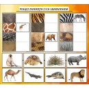 ZWIERZĘTA W ZOO
