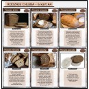 PIEKARZE I CUKIERNICY