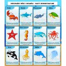 MIESZKAŃCY MÓRZ I OCEANÓW
