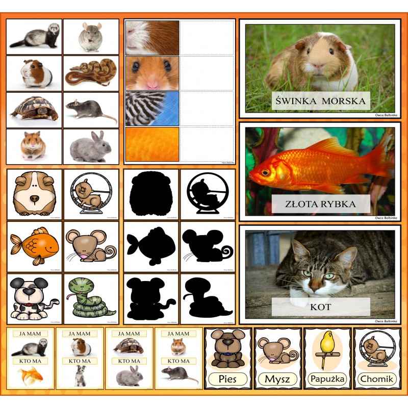 Zestaw ZWIERZĘTA DOMOWE