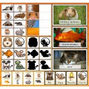 Zestaw ZWIERZĘTA DOMOWE